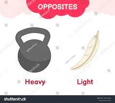 Heavy/Light
