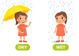 Wet/Dry